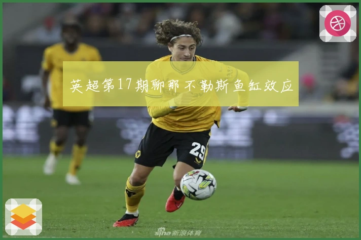 英超第17期聊那不勒斯鱼缸效应